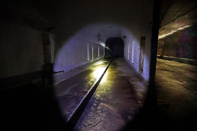 Deliberate Obscurity and Sealing