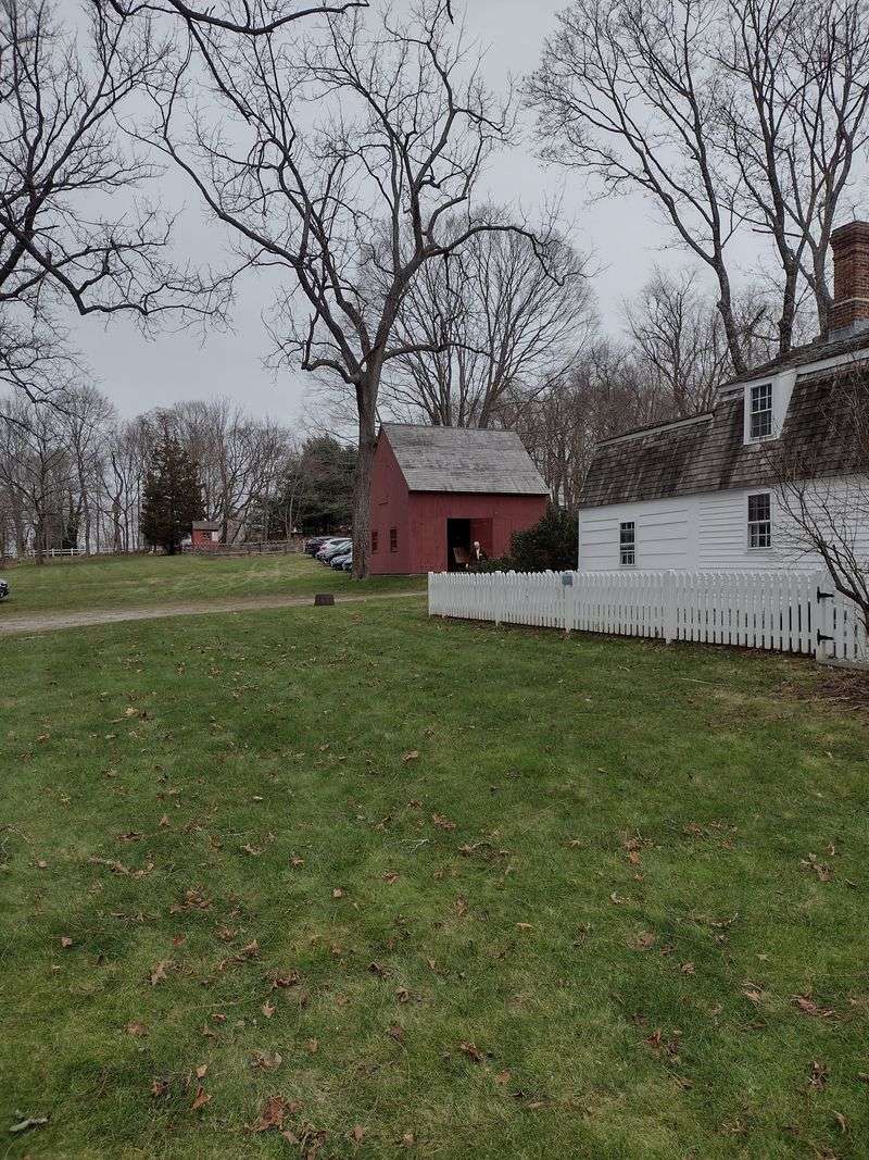 Organic Colonial Development