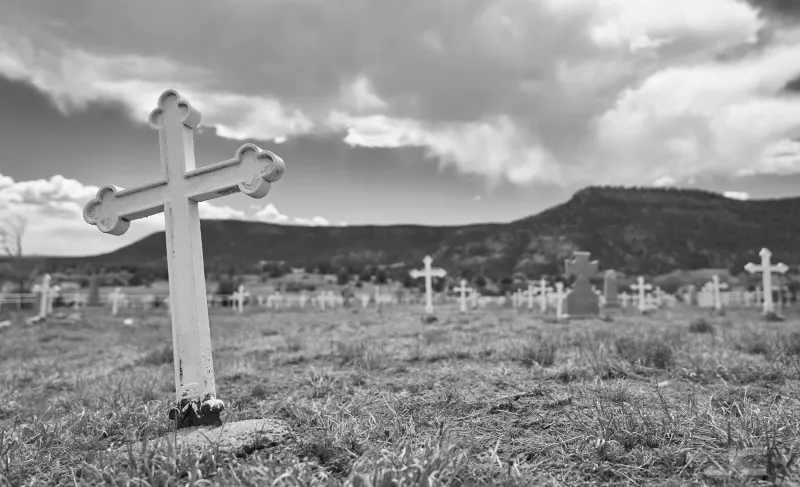 Responsible photography and field etiquette