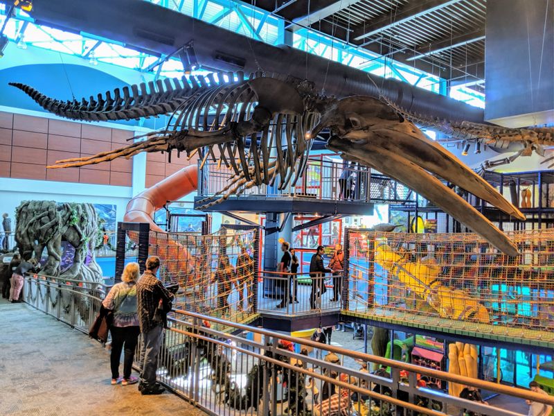 Play Area and Family Cafe Stop