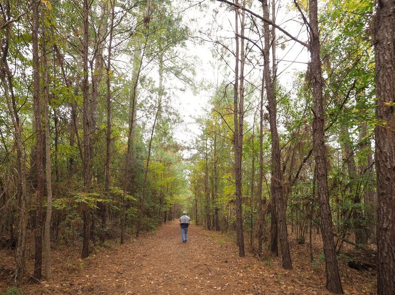 Pace, Nature, And Mental Space