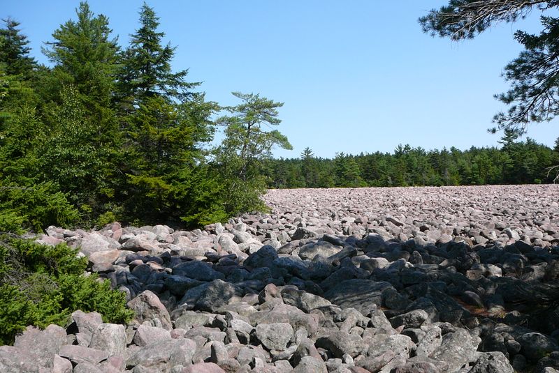 Hickory Run Boulder Field