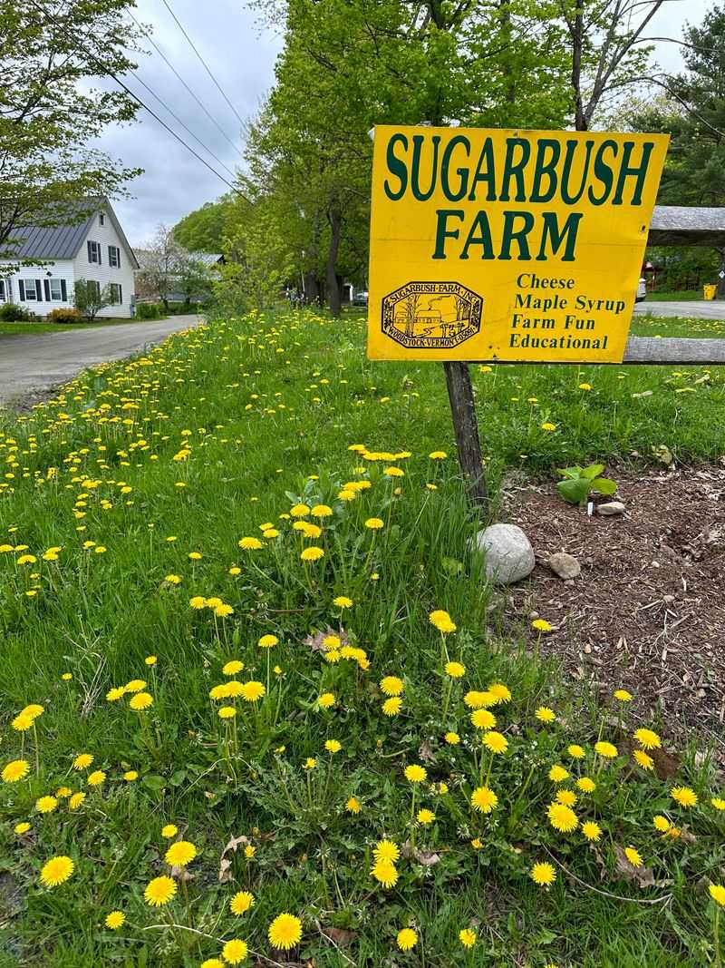 Farm-to-Table Culinary Focus