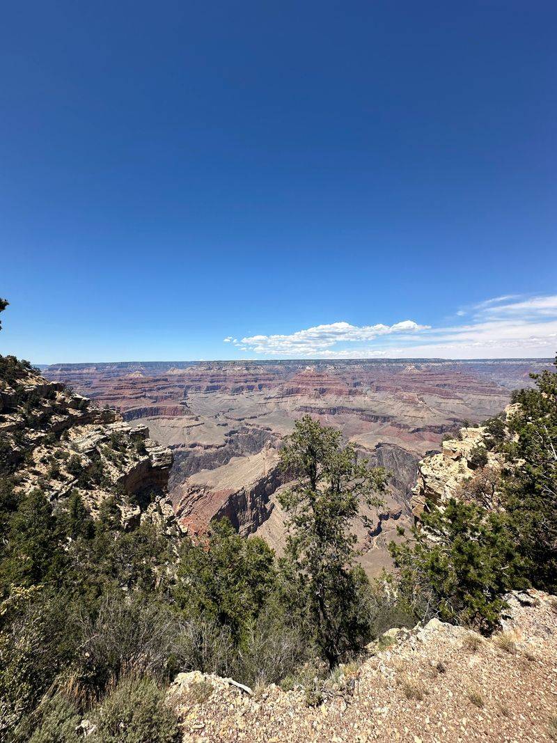 Easy-Access Frozen Scenery