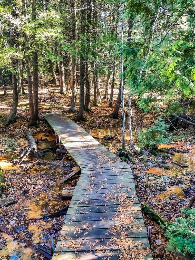 Nature Is the Main Attraction