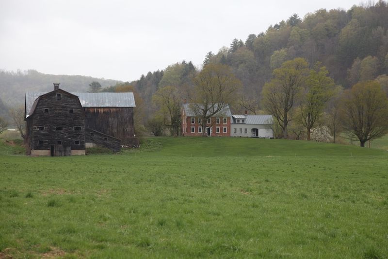 Cabin on 10 Wooded Acres, Tunbridge