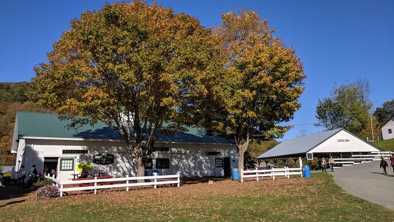 Scenic Woods That Glow During Maple Season