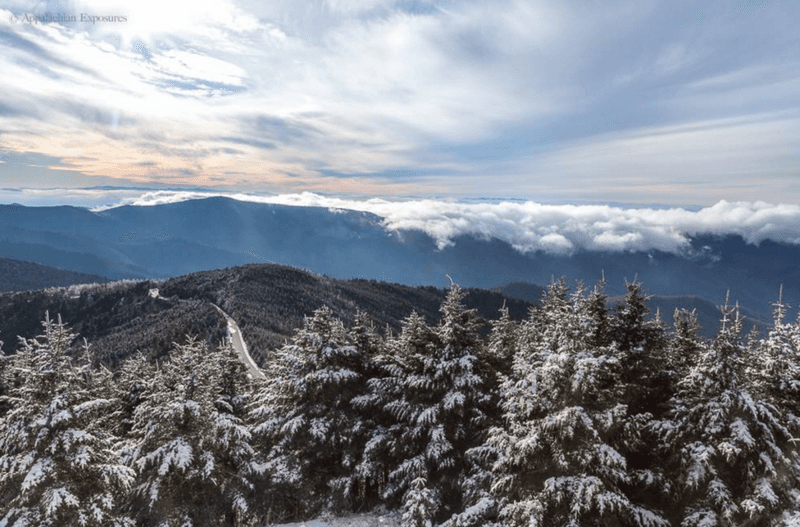 Mount Mitchell Summit Trail (Mount Mitchell State Park)