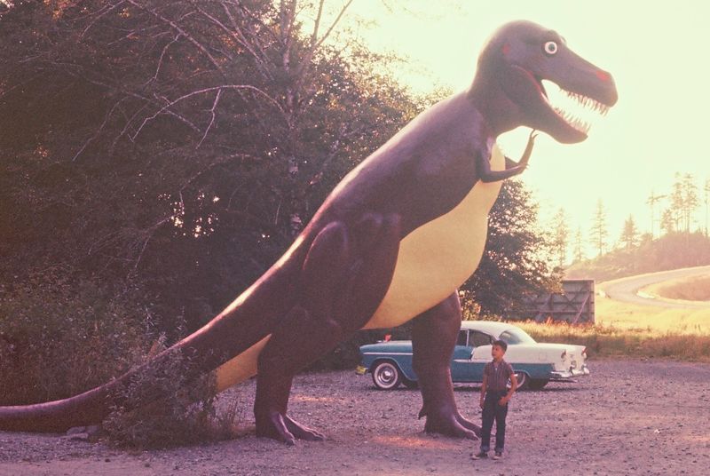 Ghostly Artifacts Scattered Across The Coast