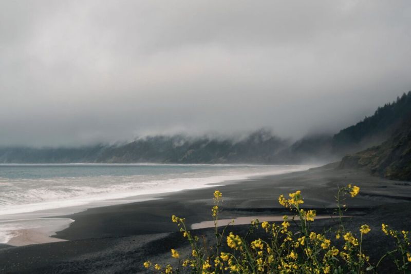 Shelter Cove, Humboldt County