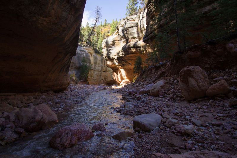 Ashdown Gorge’s Hidden Cool Labyrinth
