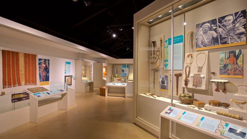 Spurlock Museum of World Cultures