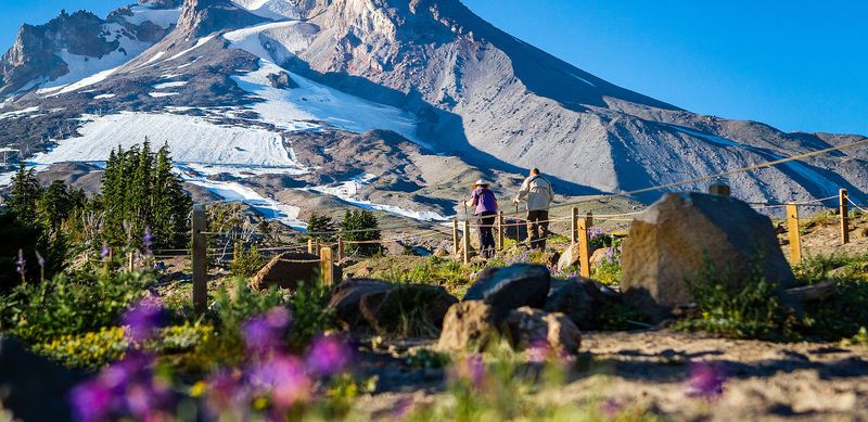 Day Two: Mount Hood National Forest and Alpine Trails
