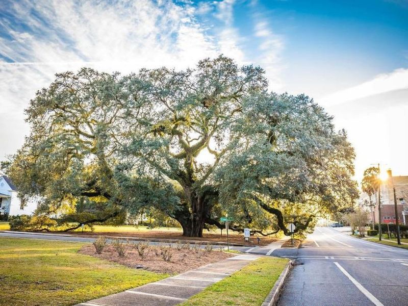 Day Two: Thomasville and Its Slow Pace Beneath Tall Trees