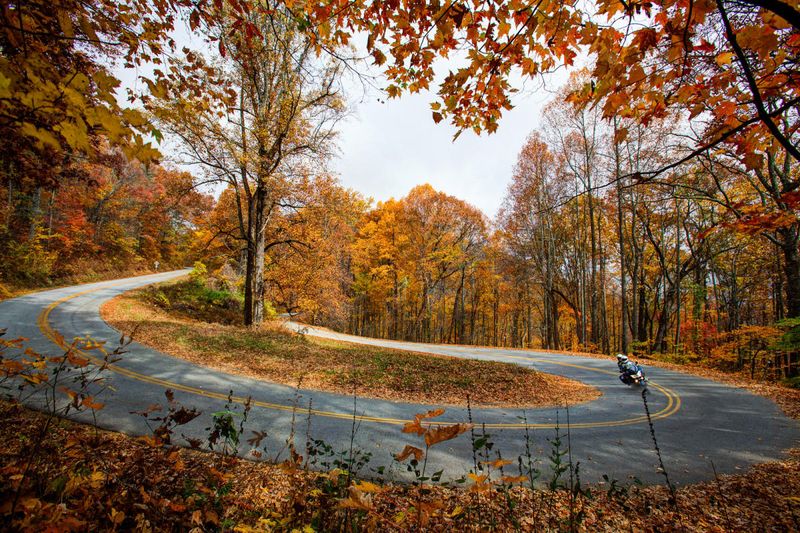 Georgia Backroads That Reveal More Than Highways Ever Could