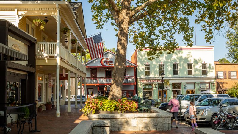 Day Seven: Dahlonega and Its Hill Country Charm