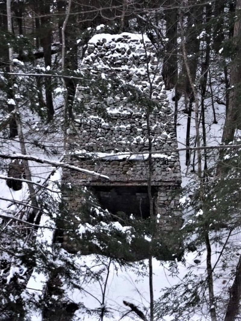 Remnants in the Forest