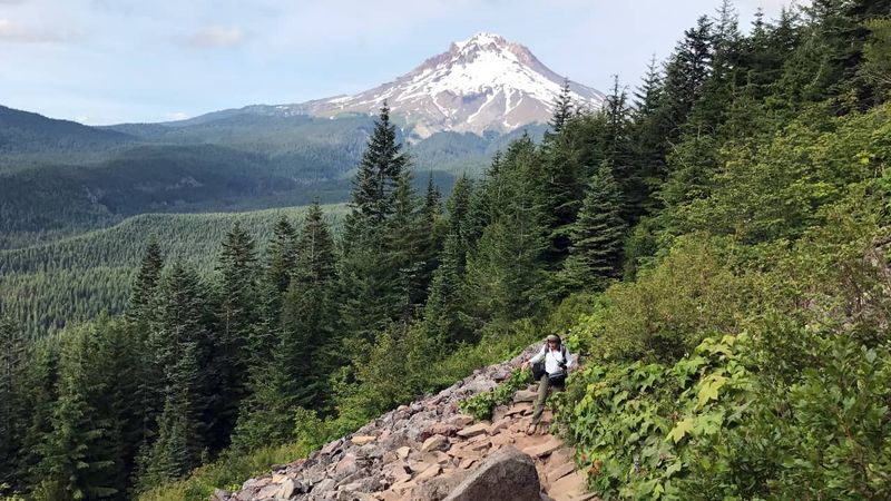 Trailside Foraging Experience
