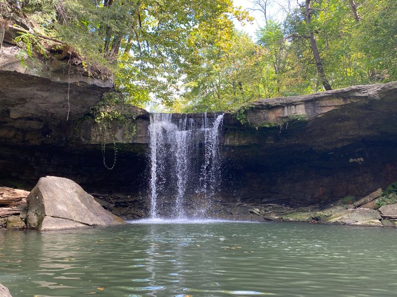 The Reward of Discovery