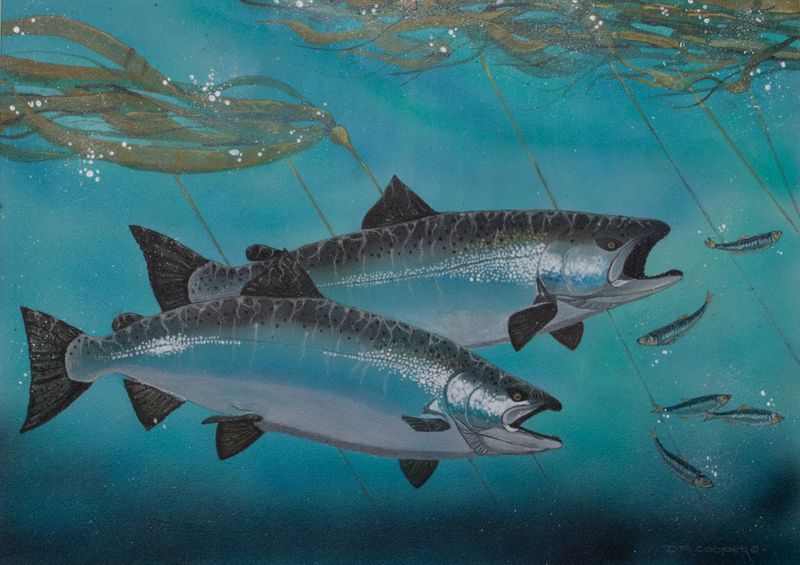 Special Species Need Extra Stamps