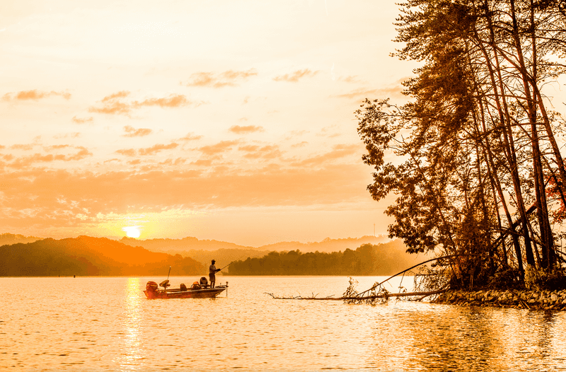 Seasons That Shape the Experience