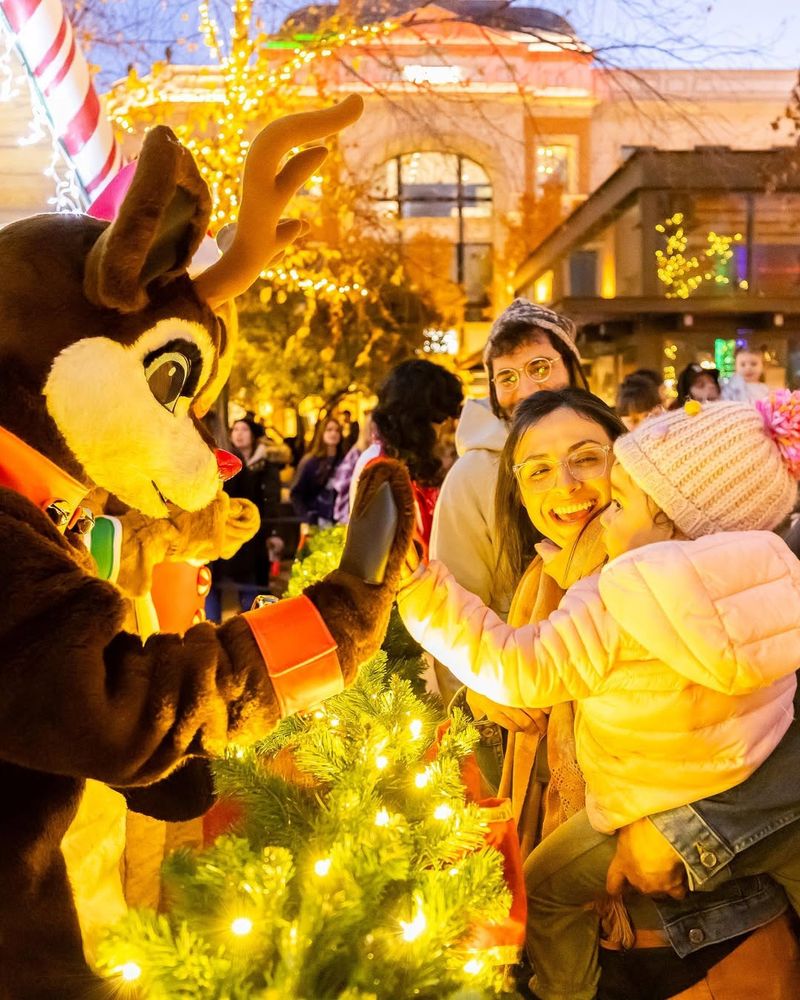 Seasonal Events, Live Performances, and Photo Spots