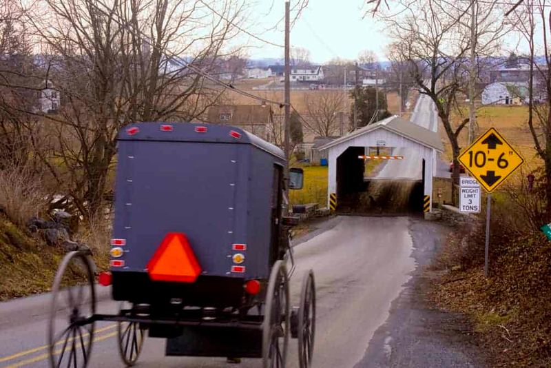 Savoring Scenic Routes Without Rushing