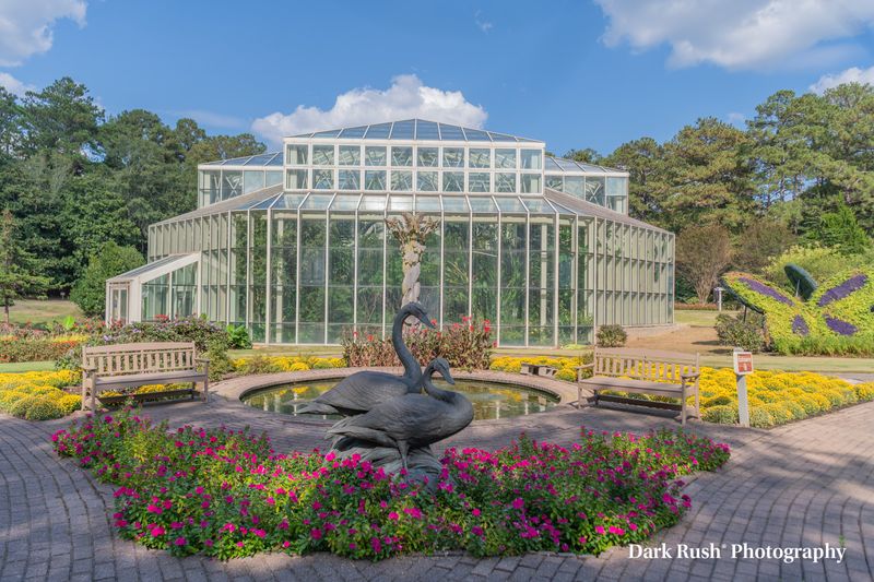 Birds of Prey Show - Nature's Aerial Artists in Action