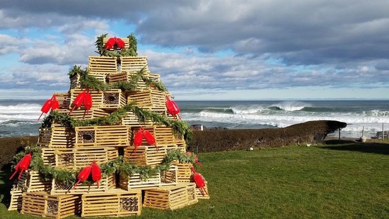 The Legendary Lobster Trap Tree Towers Over the Harbor