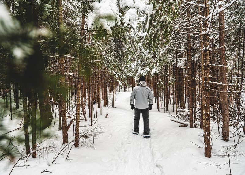 Peaceful Winter Hiking Trails Through Pristine Forests