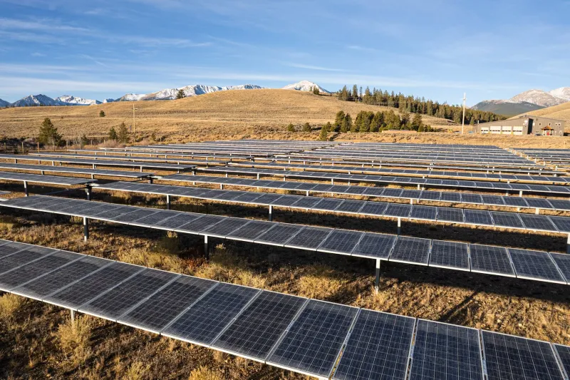 Driving Demand for Sustainability