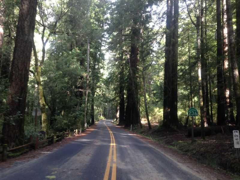 A Legend That Travels With the Road