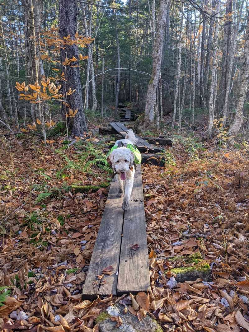 Native American Warnings and Cursed Ground