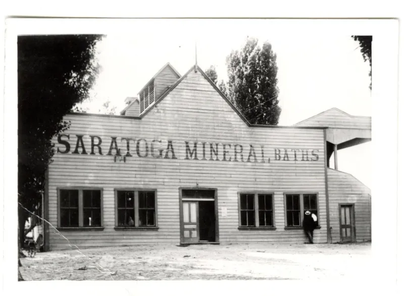 Nature’s Quiet Takeover