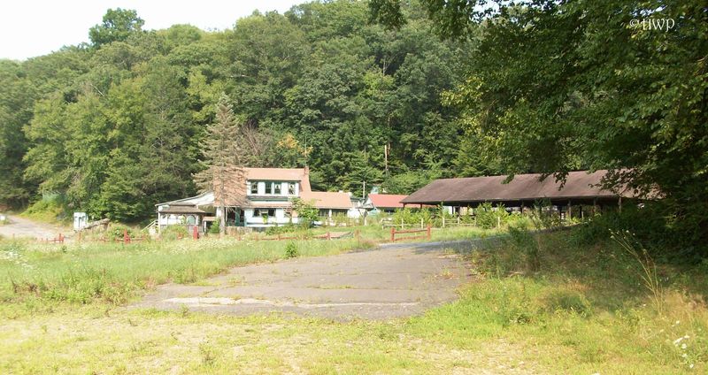 Why the Site Still Draws Quiet Visitors