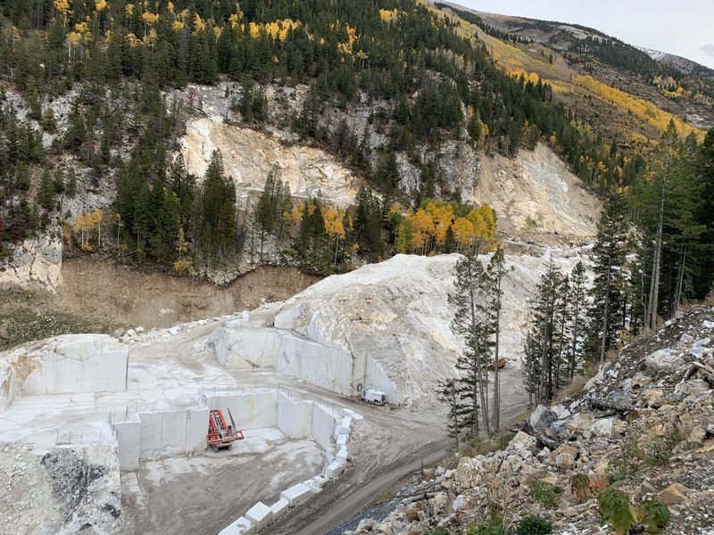 Nature’s Grip on What Was Left Behind