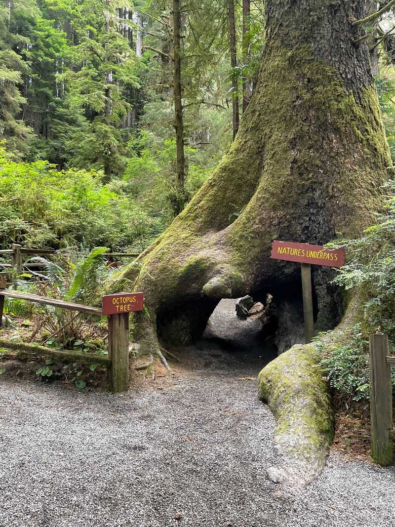 Family Friendly Trails and Clear Signage