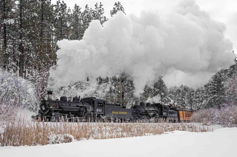 Experience THE POLAR EXPRESS™ Train Ride