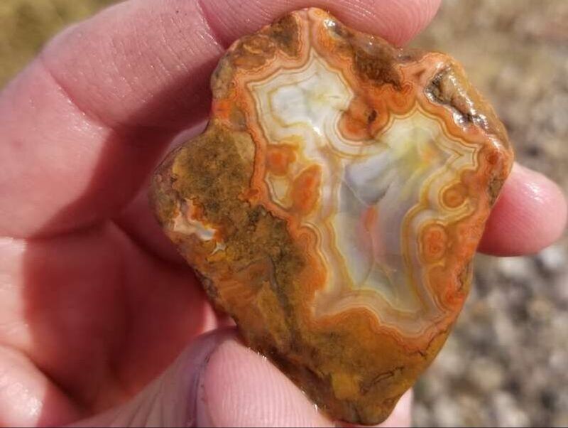 Legal Penalties and Enforcement Actions