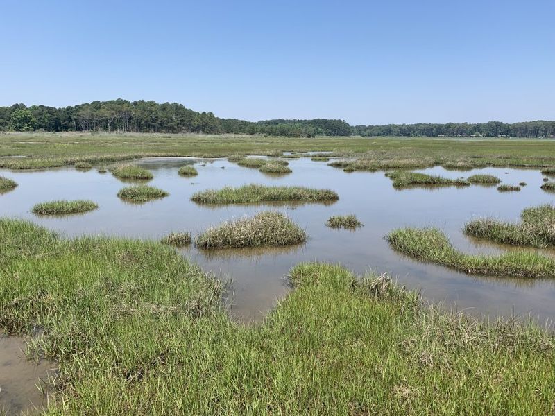 A Future Where Tourism and Nature Coexist