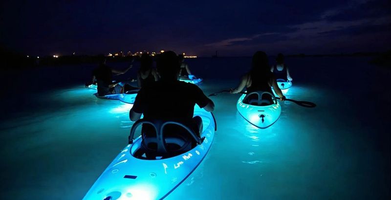 Florida Bioluminescence Tours – Clear Kayak Experience