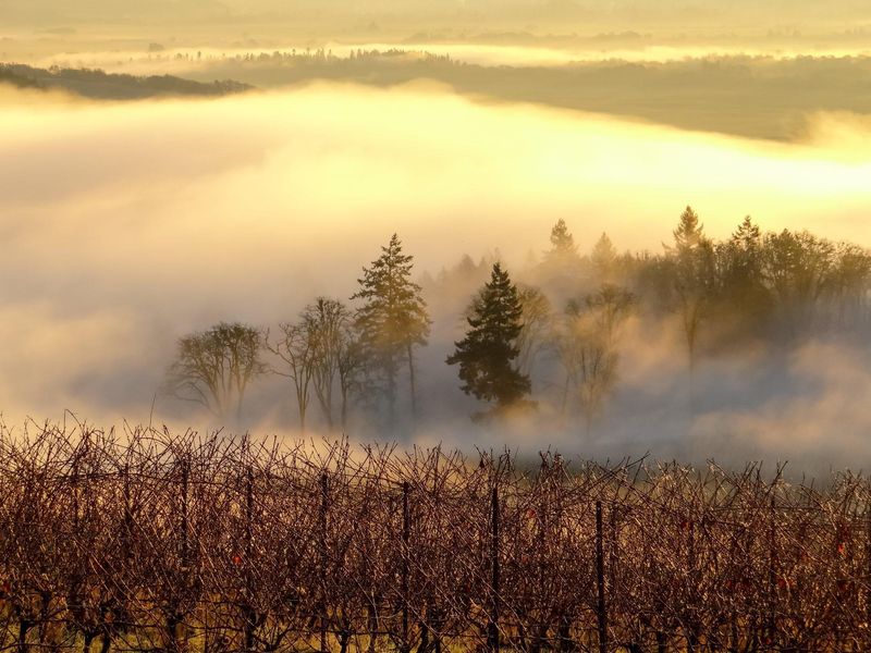 Proximity to Oregon Wine Country