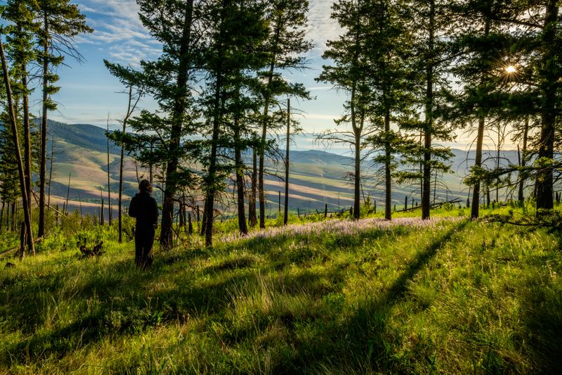 Opportunity for Personal Growth