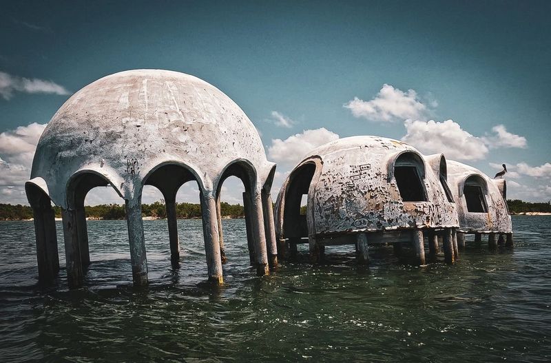 Nature's Reclamation