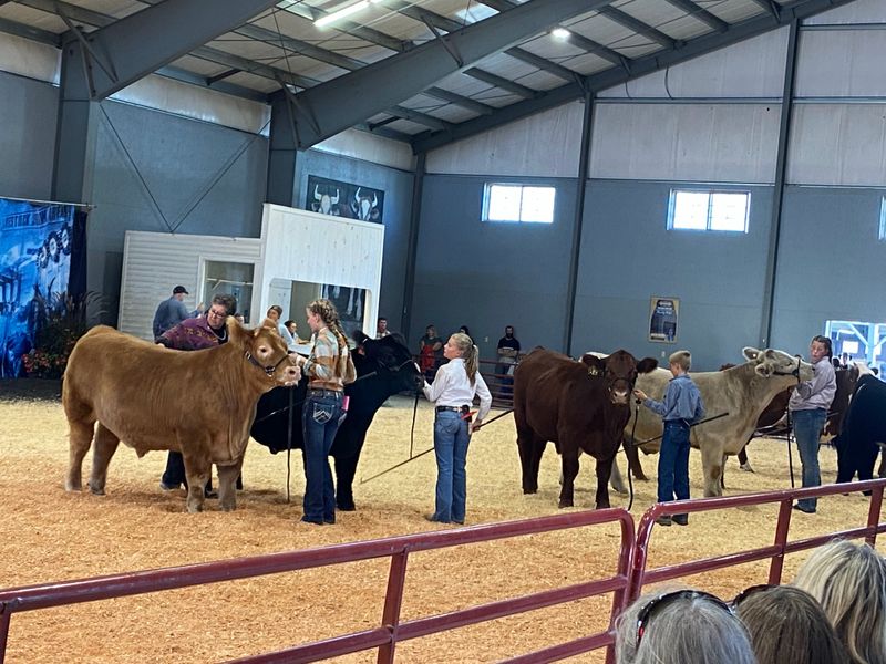 Mechanical Roar: Pulling Events and Heavy Competition