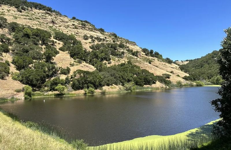 Hike at Alston Park or Skyline Wilderness Park