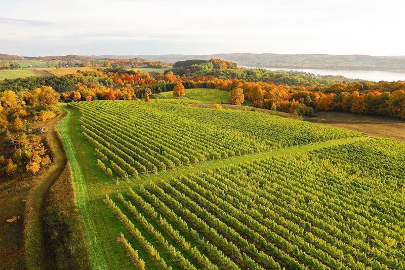 Tour the Leelanau Peninsula Wine Trail