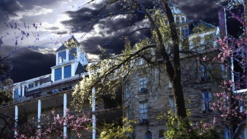 Why Travelers Still Check In