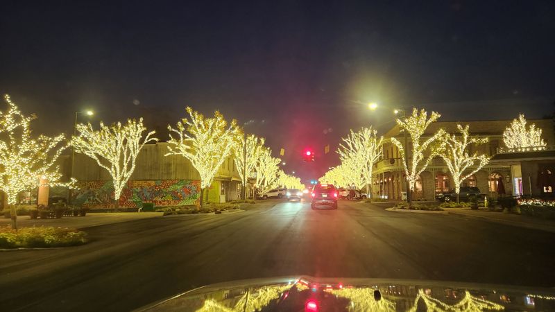 The Boardwalk Under Live Oaks