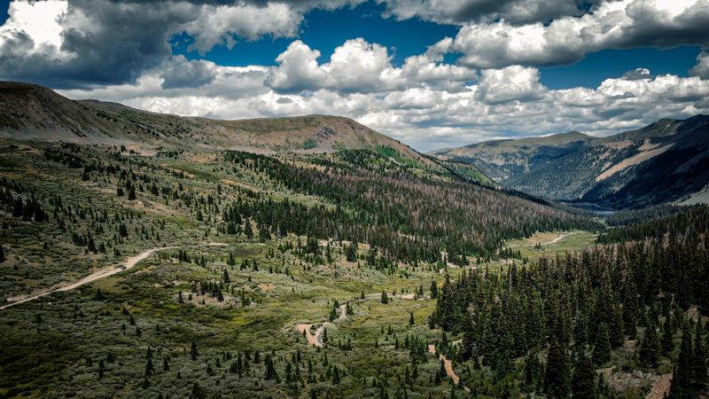 Tin Cup’s Tucked Away Cabins Under Deep Snowpack